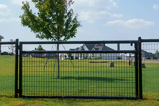 PaintMor Painters professional fence painting and staining in Allen showing a black metal fence we painted.