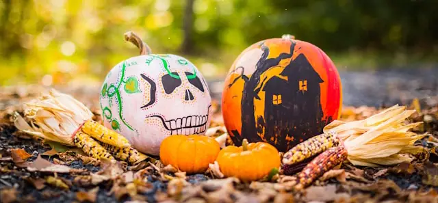 paintmor painters top 6 halloween decorating tips for 2025 pumpkins - PaintMor Painters - Top 6 Halloween Decorating Tips for 2025 Every Family Will Love